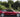 red crz with lip