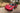 Cool Car Mods to Try in 2018 | Shop Car Mods Now